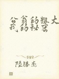 公翁的粗大放进我的秘密