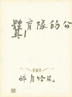 体育队的公用玩具1