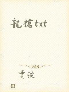 龙枪txt