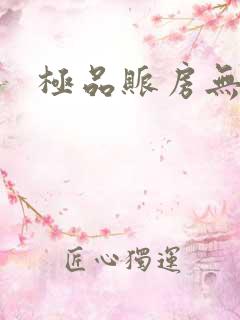 极品账房无弹窗