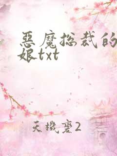恶魔总裁的小新娘txt