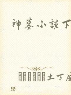 神墓小说下载