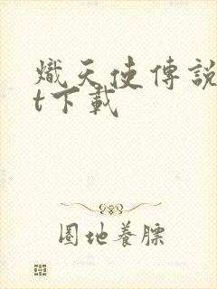 炽天使传说txt下载