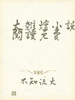 大杂烩小说全集阅读免费