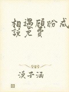 相遇顾盼成欢小说免费