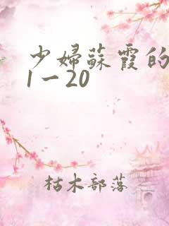 少妇苏霞的沉沦1一20