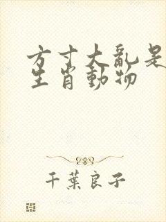 方寸大乱是什么生肖动物