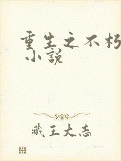 重生之不朽传奇 小说