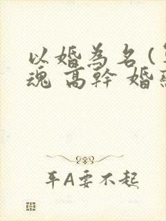 以婚为名 (军魂 高干 婚恋)