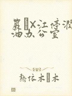 严峫X江停润滑油办公室