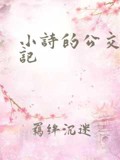 小诗的公交车日记