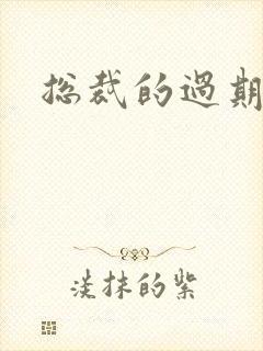 总裁的过期情人