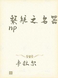 系统之名器攻略np