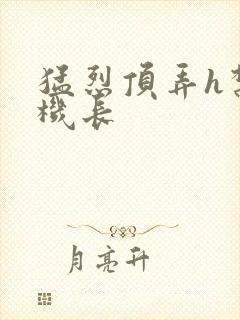 猛烈顶弄h禁欲机长