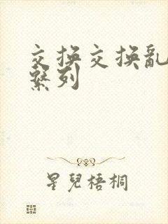 交换交换乱杂烩系列