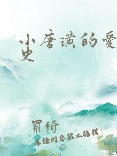 小唐璜的爱情历史