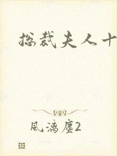 总裁夫人十八岁