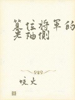 篡位将军的白月光袖侧