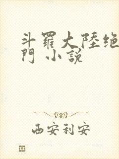 斗罗大陆绝世唐门 小说