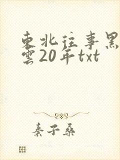 东北往事黑道风云20年txt