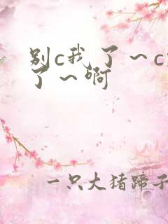 别c我了～c烂了～啊