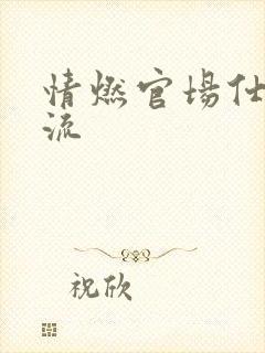 情燃官场仕途风流