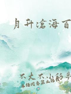 月升沧海百度云