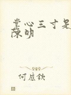 掌心三寸是人间陈明