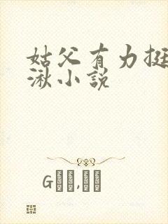 姑父有力挺送徐湫小说