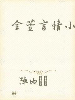 金萱言情小说