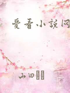 爱看小说网