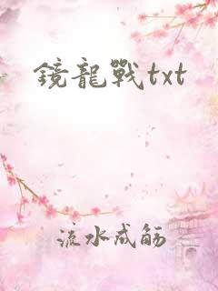 镜龙战txt