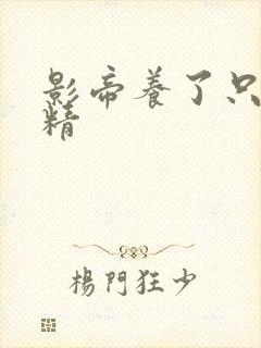 影帝养了只兰花精