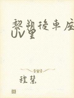 黎朔后车座上SUV里