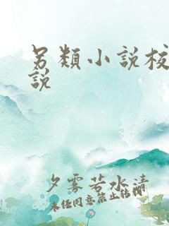 另类小说校园小说