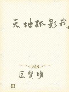 天地孤影我独行