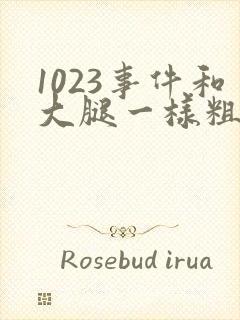 1023事件和大腿一样粗的