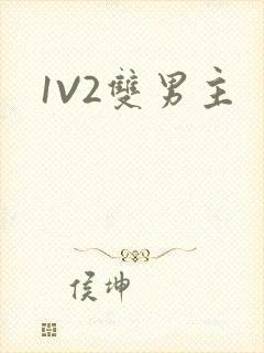 1V2双男主
