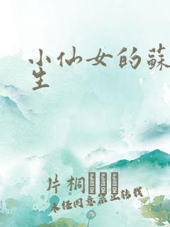 小仙女的苏撩先生