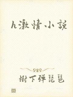 h激情小说