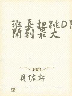 班长把跳D开关开到最大