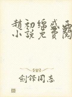 赵初绵盛西舫的小说免费阅读