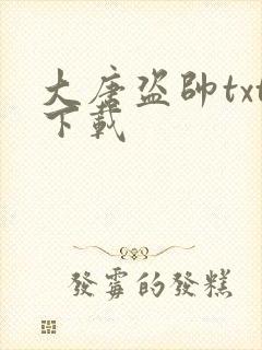 大唐盗帅txt下载