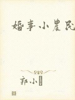 婚事小农民