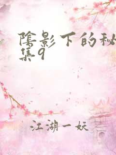 阴影下的秘密全集9