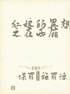 红娘的异想世界之在西厢