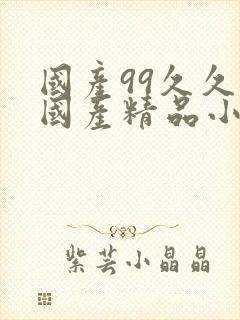 国产99久久久国产精品小说