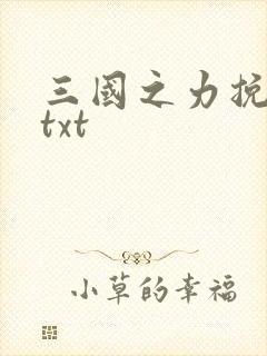 三国之力挽狂澜txt