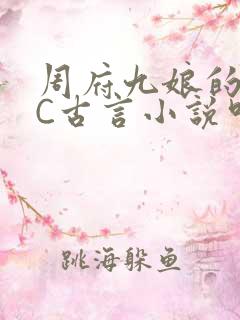 周府九娘的NPC古言小说叫什么
