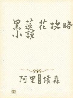 黑莲花攻略手册小说